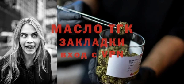 твердый Инта