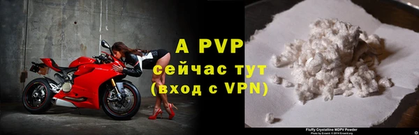 твердый Инта