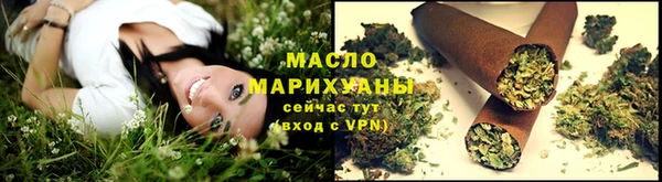 твердый Инта