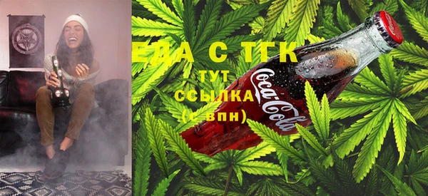 твердый Инта